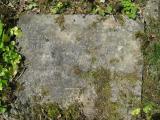image of grave number 338555